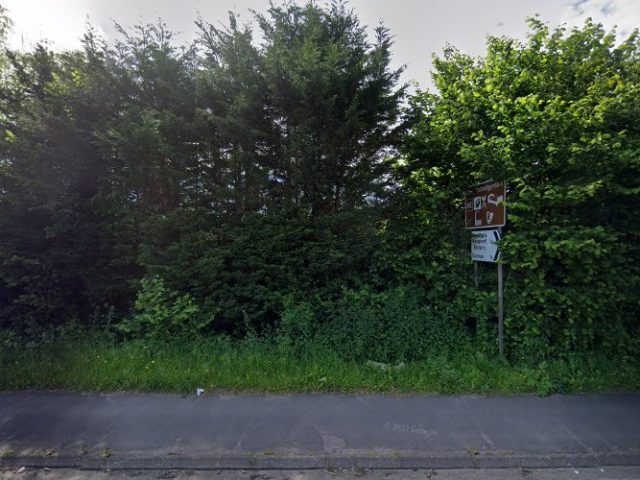 9 Lives Brewing Brewery in Swansea