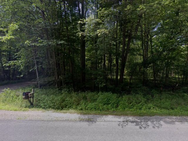 Back Woods Brewing Brewery in Jackson Michigan