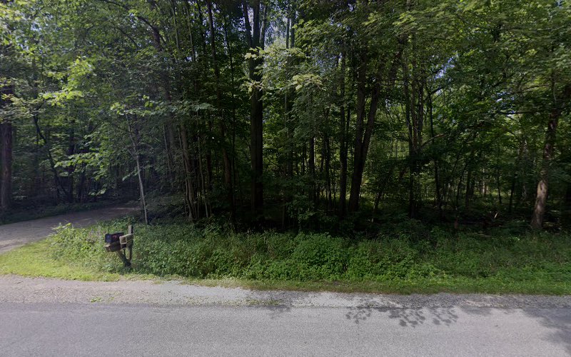 Back Woods Brewing Brewery in Jackson Michigan