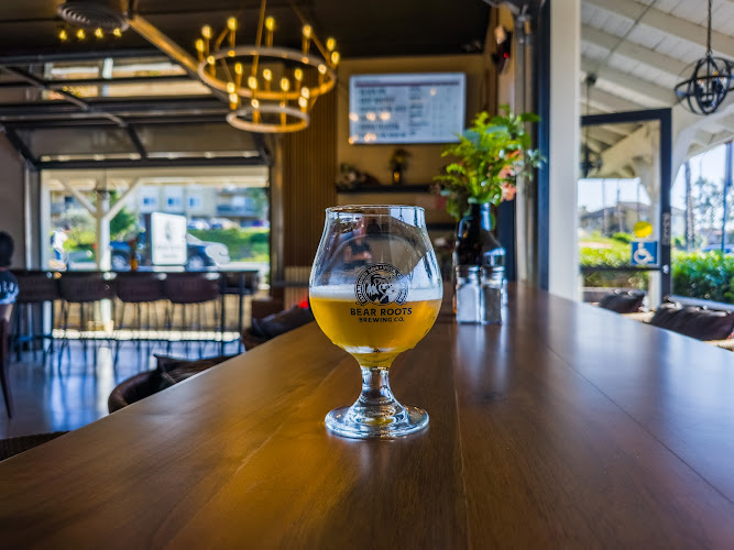 Bear Roots Tavern Brewery in Escondido California