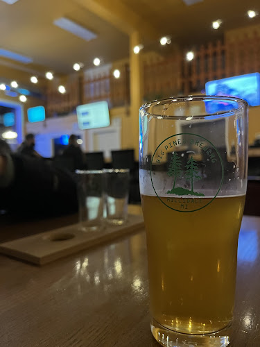 Big Pines Brewing Brewery in Hillsdale Michigan