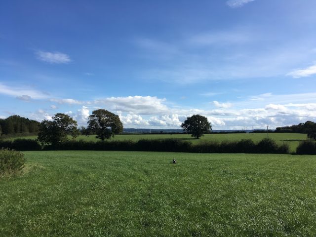 Blindmans Brewery Brewery in Frome
