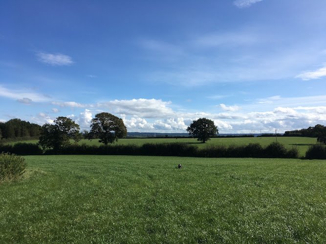 Blindmans Brewery Brewery in Frome