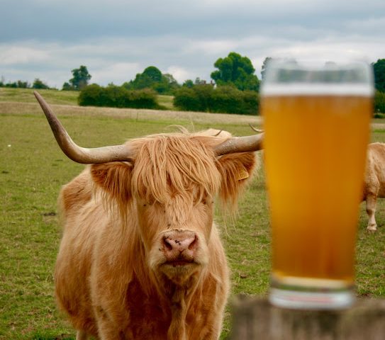 Brew 61 Brewery in Bromsgrove