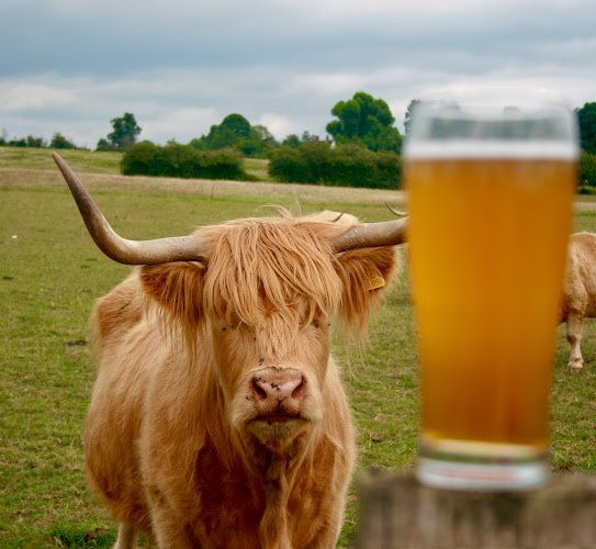 Brew 61 Brewery in Bromsgrove