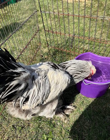 Brickstone Brewery Production Facility Brewery in Bourbonnais Illinois