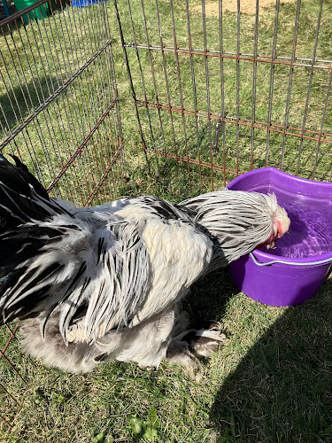 Brickstone Brewery Production Facility Brewery in Bourbonnais Illinois