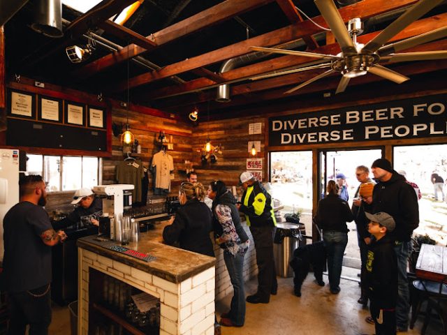 Cactus Land Brewing Company Brewery in Adkins Texas