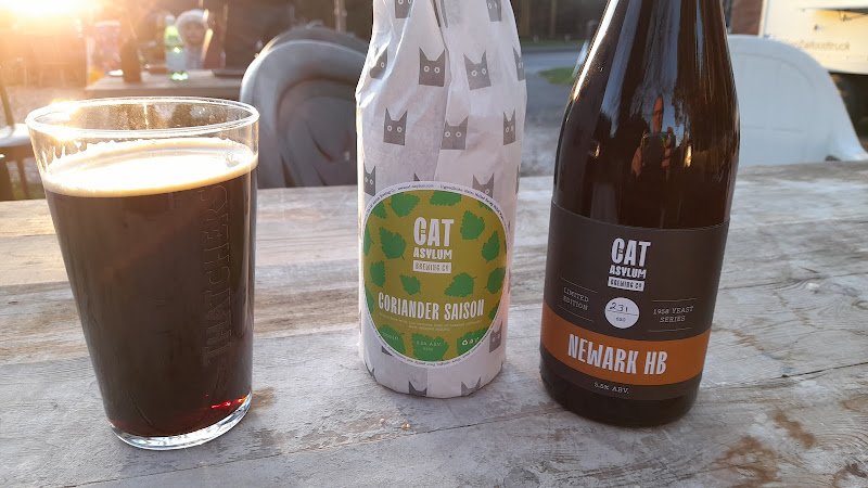 Cat Asylum Brewing Company Brewery in Newark