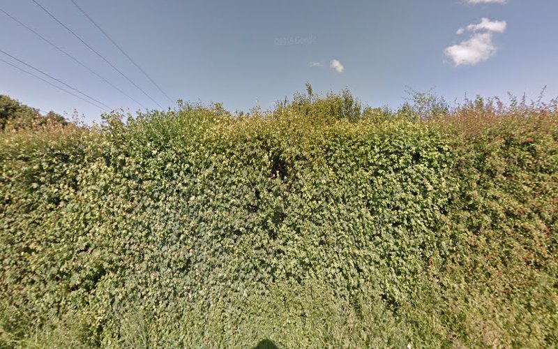 Chislet Brewery Brewery in Canterbury