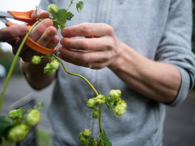 Earth Ale Brewery Brewery in Abingdon