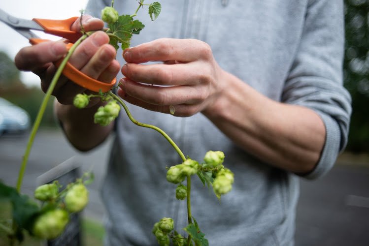 Earth Ale Brewery Brewery in Abingdon