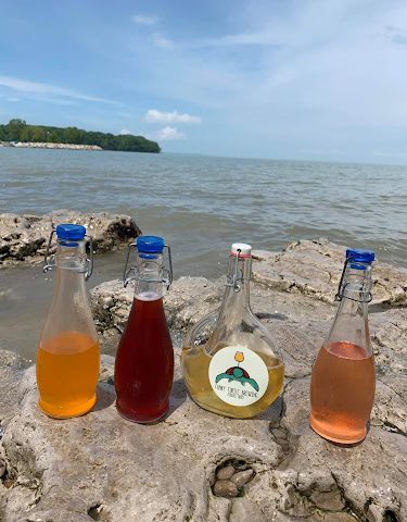 Funky Turtle Brewing Company Production Facility Brewery in Toledo Ohio