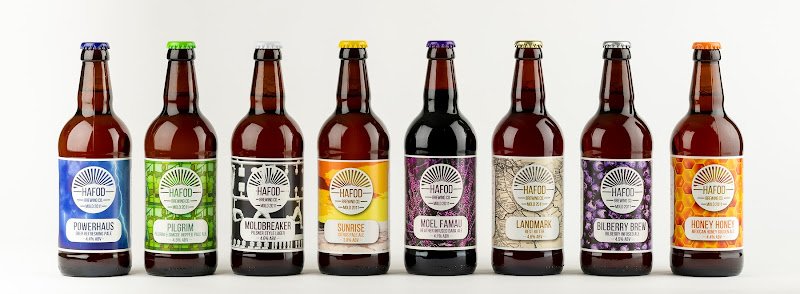 Hafod Brewing Company Brewery in Mold