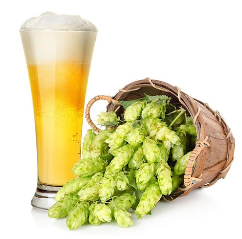 Hillsdale Brewing Company Brewery in Hillsdale Michigan