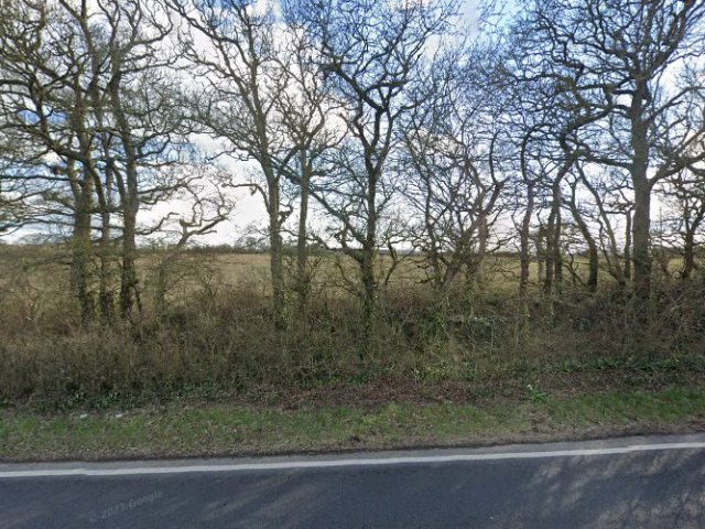 Island Brewery Brewery in Newport