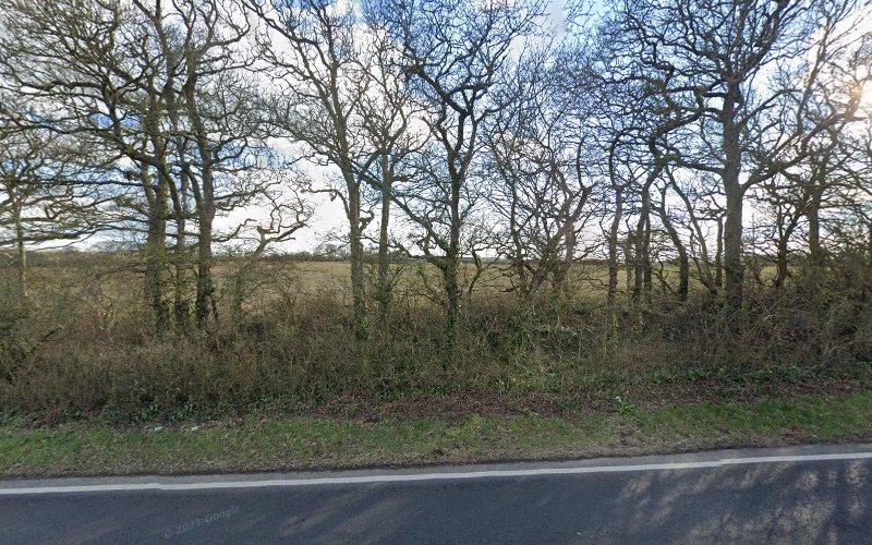 Island Brewery Brewery in Newport