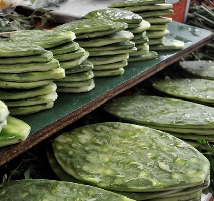 It's Alive Kombucha Brewery in Bayside California