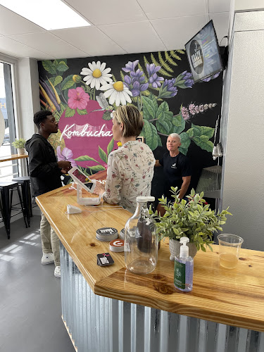 Krazy Kombucha Brewery in Lakeland Florida