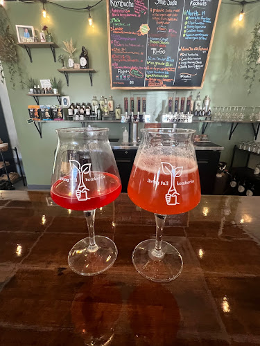 Living Full Kombucha Brewery in Winthrop Harbor Illinois