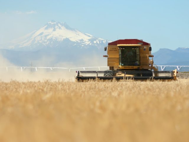 Mecca Grade Estate Malt Farm in Madras OR