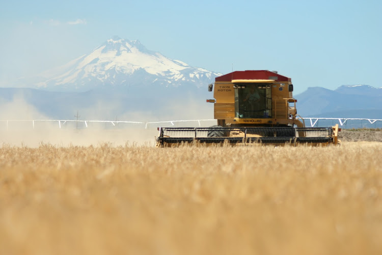 Mecca Grade Estate Malt Farm in Madras OR