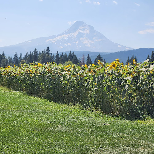 Mountain View Brewing Brewery in Mt Hood Oregon