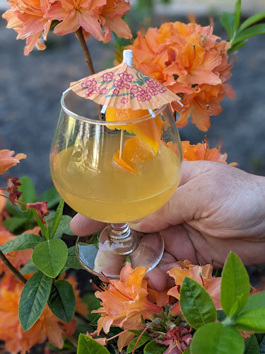 Mystic Mead Brewery in