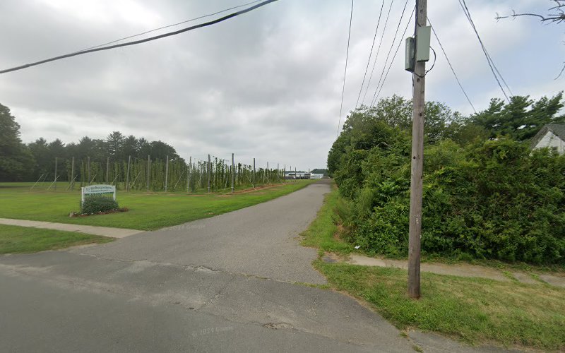 North Fork Brewing Company Hop Farm Brewery in Peconic New York