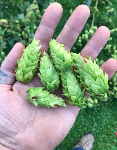 Outlaw Mountain Brewing Brewery in