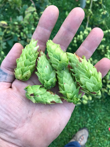 Outlaw Mountain Brewing Brewery in