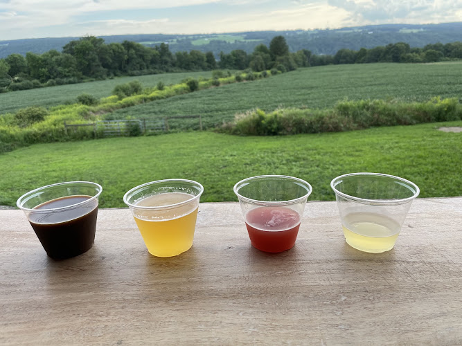 Owasco Lake Brewing Brewery in Moravia New York