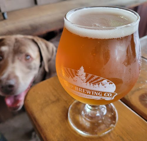 Pinetop Brewing Company Brewery in Lakeside Arizona