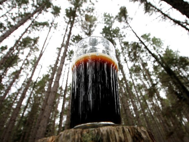 Portage Brewing Company Brewery in Walker Minnesota