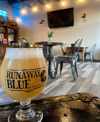 Runaway Blue Brewing Company Brewery in Newark New York