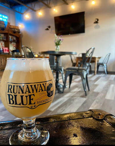 Runaway Blue Brewing Company Brewery in Newark New York