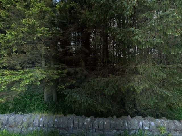 SaltRock Brewing restaurants in Dunfermline