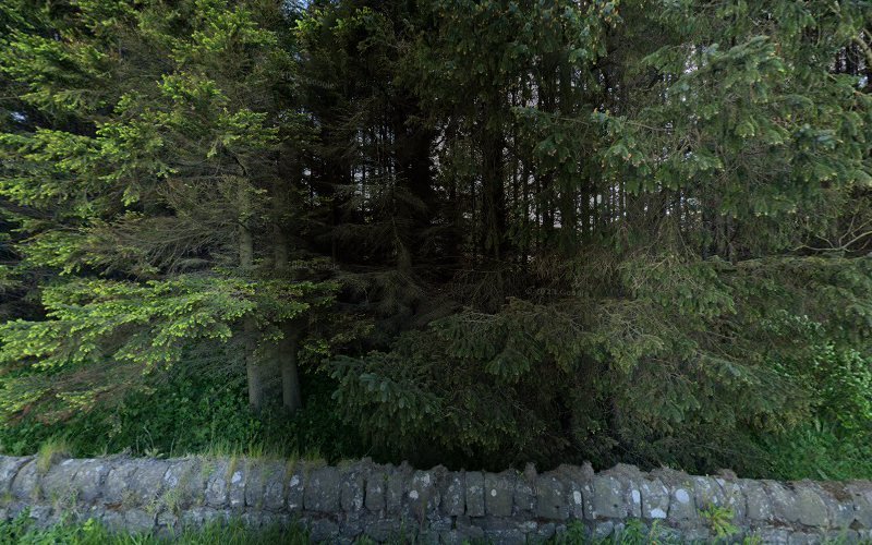 SaltRock Brewing restaurants in Dunfermline