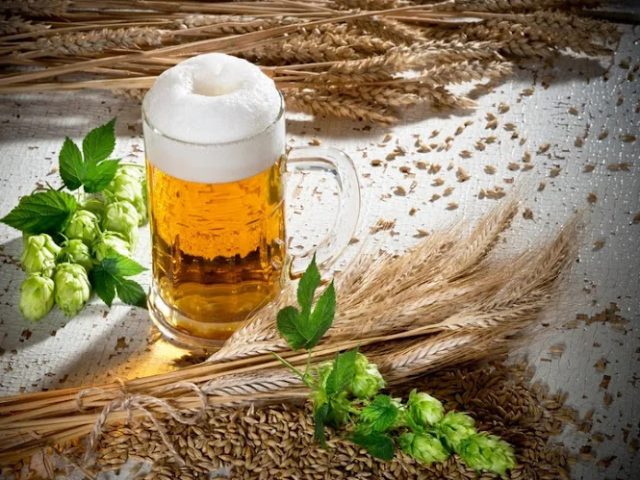 Sandy Shore Brewing Brewery in Wilkes-Barre Township Pennsylvania