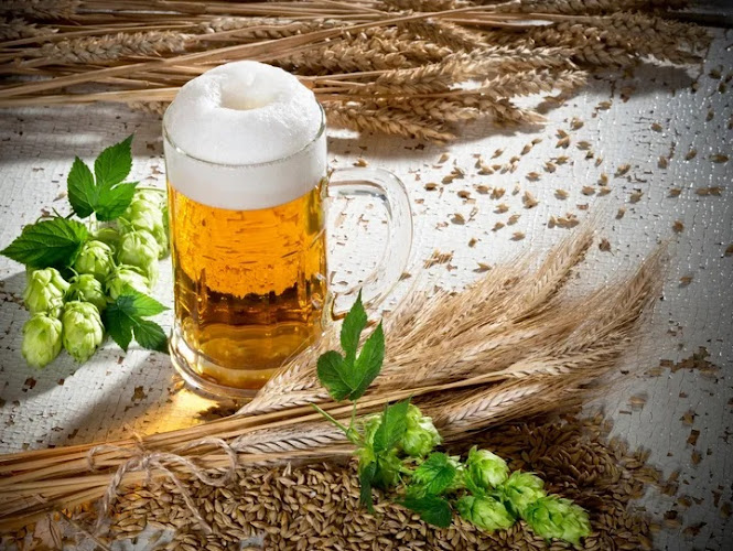 Sandy Shore Brewing Brewery in Wilkes-Barre Township Pennsylvania