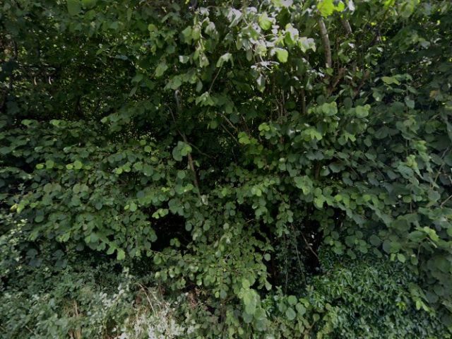 The Barn Owl Brewery Brewery in Abingdon