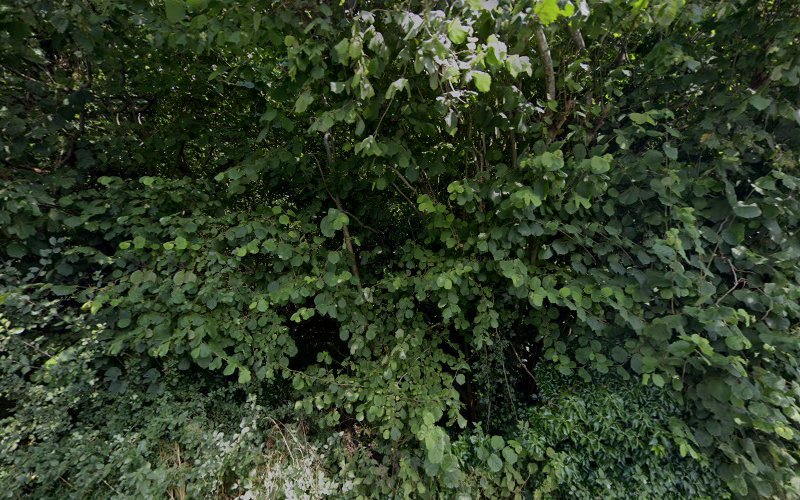 The Barn Owl Brewery Brewery in Abingdon