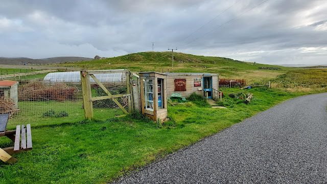 The Outpost Animal park in Shetland