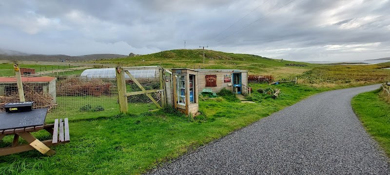 The Outpost Animal park in Shetland