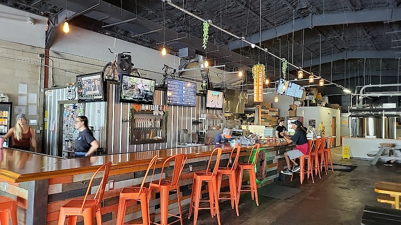 Three Odd Guys Brewing Brewery in Apopka Florida