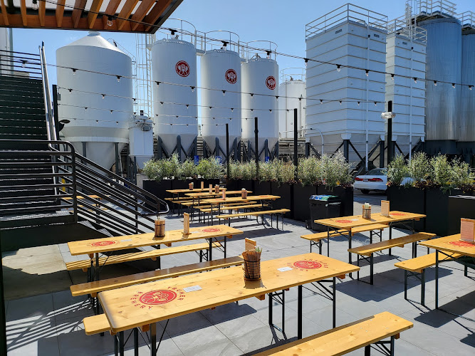 Trumer Taproom Brewery in Berkeley California