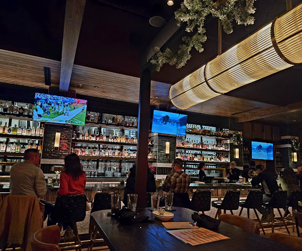 Union Bear Brewing Company - Denton restaurants in Denton Texas