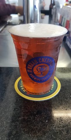 Urban Chestnut Brewery Bar Brewery in St. Louis Missouri