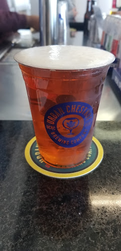 Urban Chestnut Brewery Bar Brewery in St. Louis Missouri