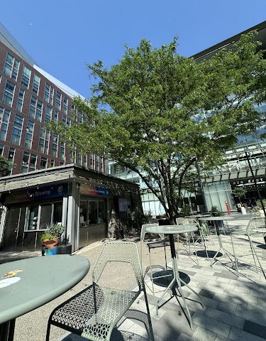 Vitamin Sea Brewing Brewery in Cambridge Massachusetts